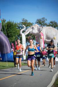 BIB: 
                            <button type="button" onclick="openModal(26543046)" class="btn btn-primary btn-sm float-right btn-popup" data-toggle="modal" data-target=".modal-high-quality">
                        <i class="fas fa-shopping-cart"></i> Add to Cart
                    </button>
                                            <button type="button" onclick="isThisMe(26543046, true)" class="btn btn-success btn-sm float-right btn-popup btn-isme hidden" data-toggle="tooltip" data-placement="bottom" title="นี่คือรูปของคุณใช่ไหม คลิกที่นี่เพื่อเอาเข้าอัลบั้ม">
                        <i class="fas fa-plus"></i> Add to album
                    </button>
                    <button type="button" onclick="isThisMe(26543046, false)" class="btn btn-warning btn-sm float-right btn-popup btn-isnotme hidden">
                        <i class="fas fa-ban"></i> Remove from album
                    </button>